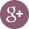 googleplus icon